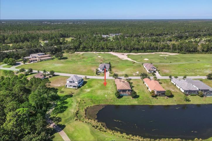 339 Hibiscus Way Palm Coast, FL 32137 - Photo 9 of 16 an aerial view of a house having a yard