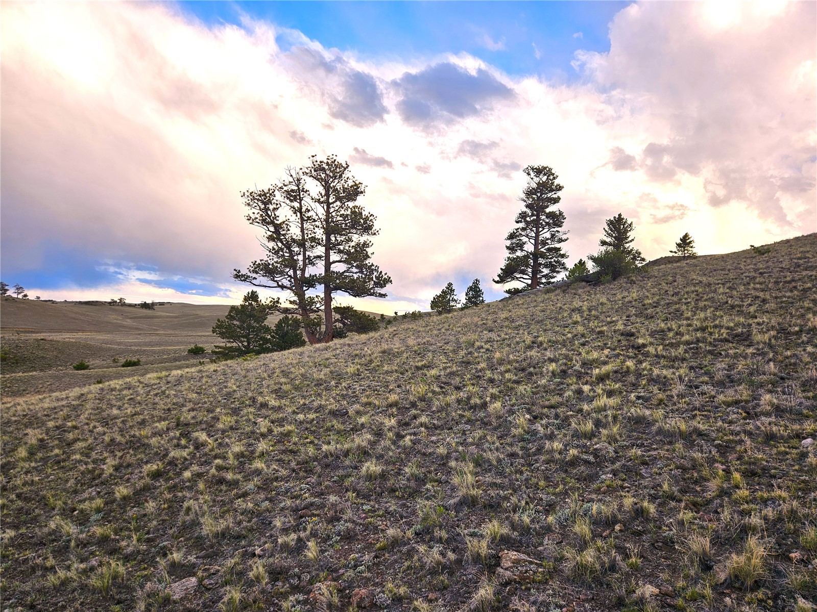 Pcs#25427 Yuma Road Hartsel, CO 80449 - Photo 28 of 29