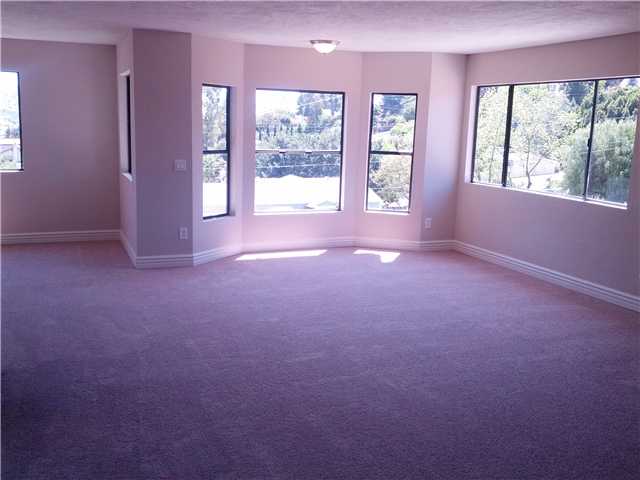 3302 Ybarra Road Spring Valley, CA 91978 - Photo 14 of 19