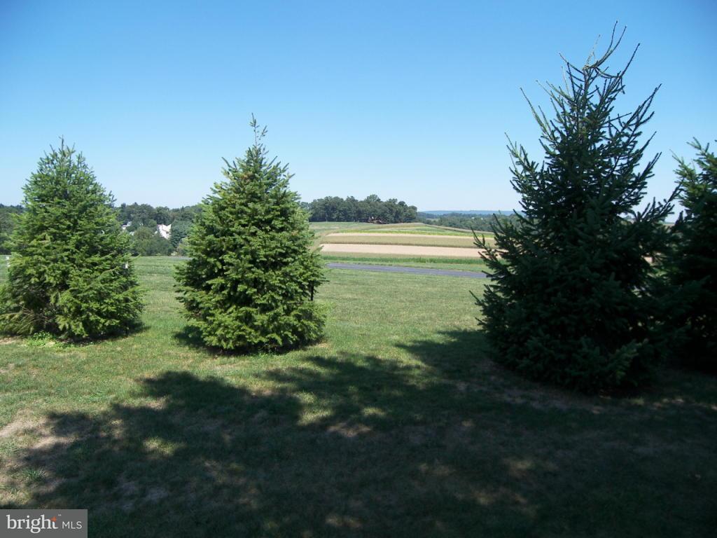 1010 Old Line Road Manheim, PA 17545 - Photo 6 of 13