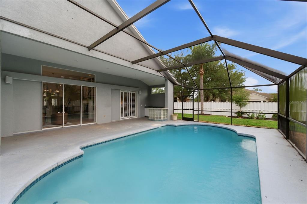 19348 Wind Dancer Street Lutz, FL 33558 - Photo 60 of 83