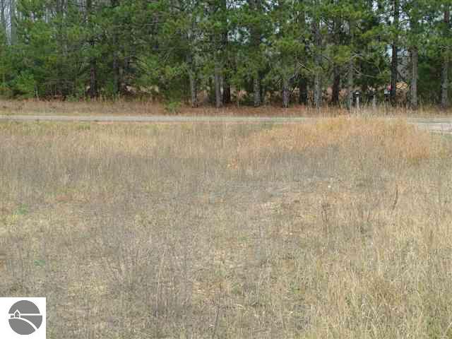 1575 Darke Road Kalkaska, MI 49646 - Photo 6 of 15 1721424-5.JPG