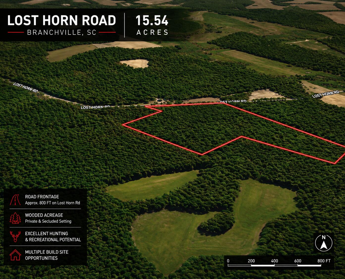 1 Lost Horn Road Reevesville, SC 29471 - Photo 3 of 11 l2