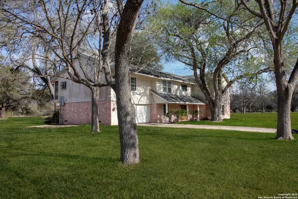 a large tree in middle of the garden
