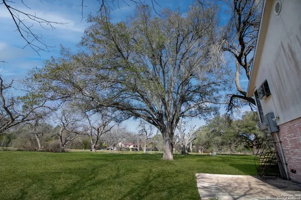 a backyard of a house with lots of green space