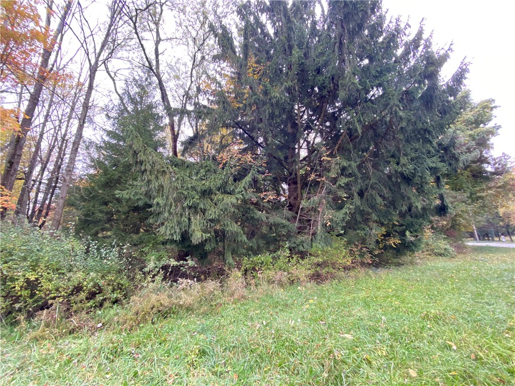 Limber Road Meadville, PA 16335 - Photo 2 of 3