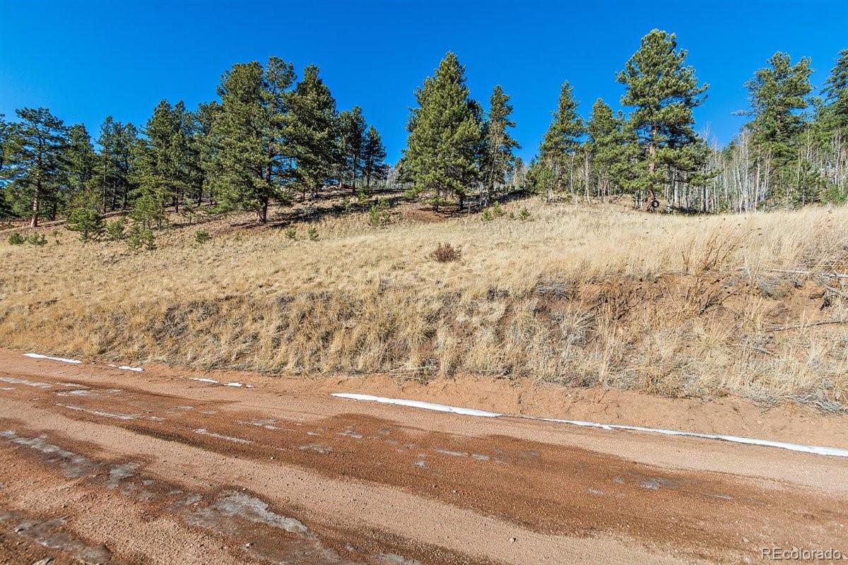 283 Bishop Road Bailey, CO 80421 - Photo 3 of 10 Gallery Image 3