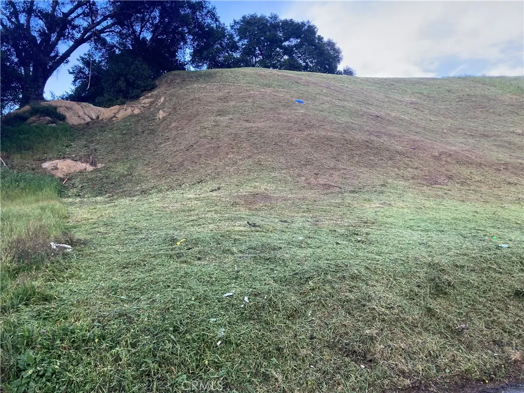 14 Driver Val Verde, CA 91384 - Photo 4 of 14 a view of a yard