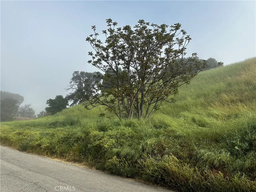 14 Driver Val Verde, CA 91384 - Photo 6 of 14 a view of a lush green forest