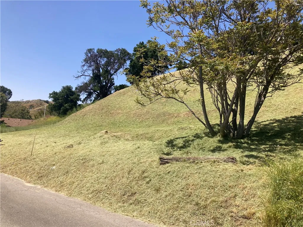 14 Driver Val Verde, CA 91384 - Photo 9 of 14 a view of a yard with large trees