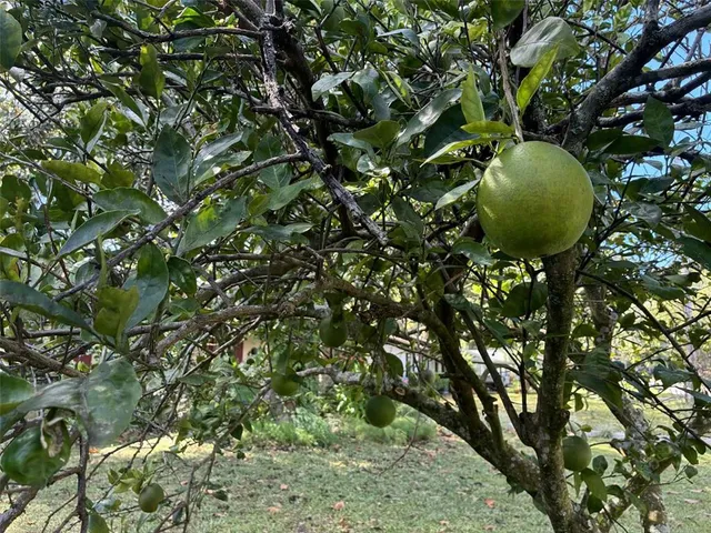 $170,000 | 2312 Northeast 37th Street, Ocala, FL 34479