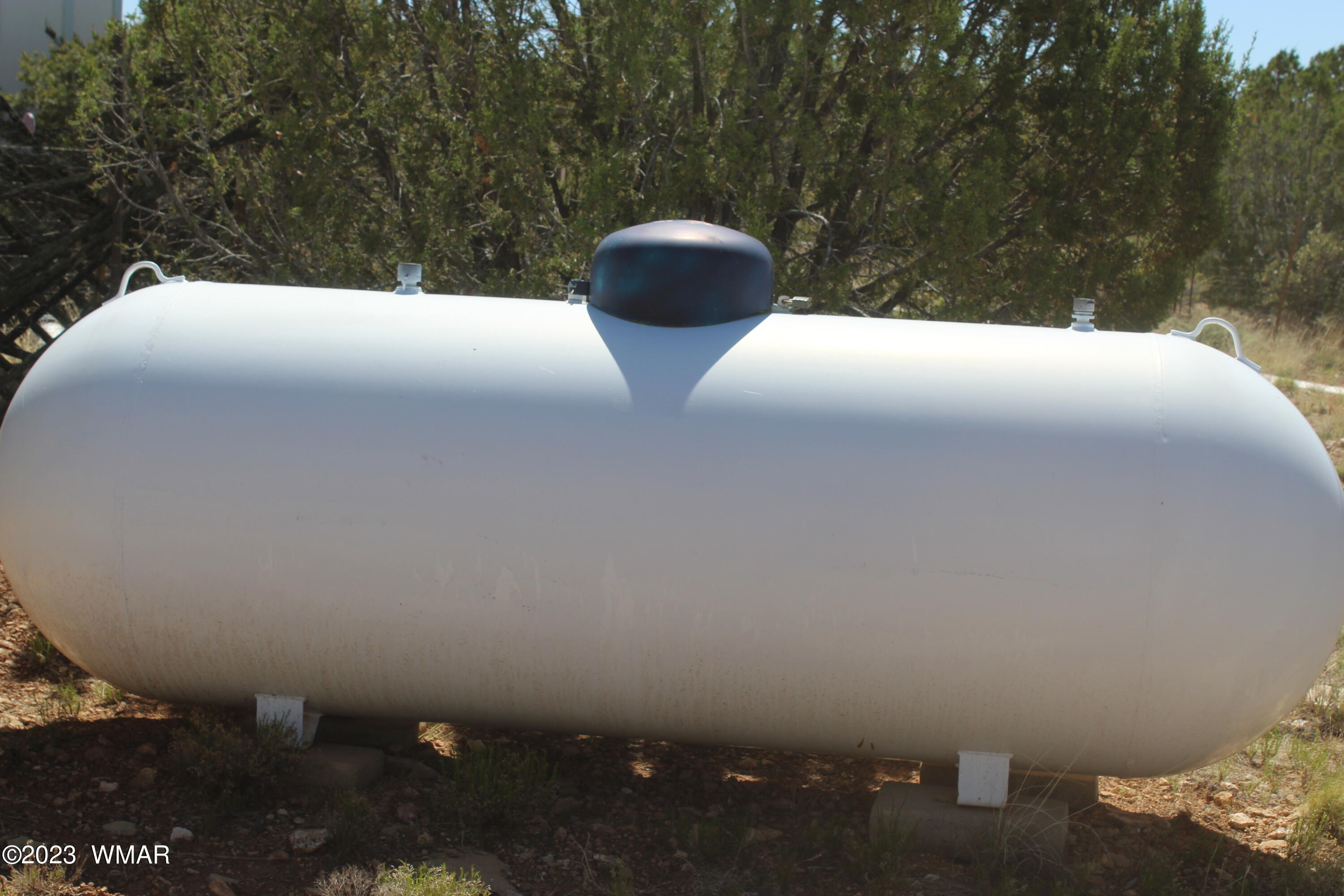 1 T14n R16e:sw4 Se4 Heber, AZ 85928 - Photo 18 of 24