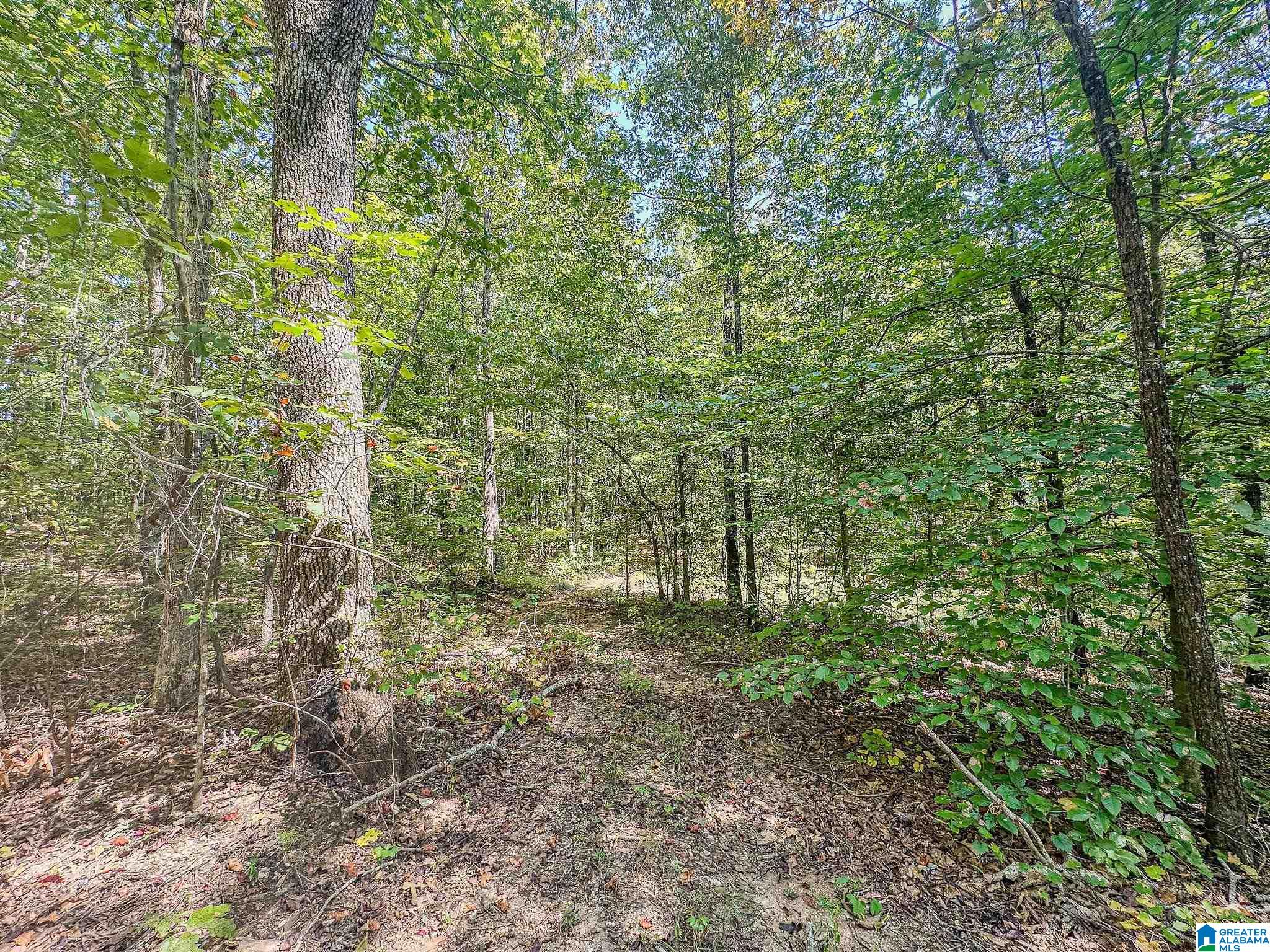 400 Fox Trot Road Talladega, AL 35160 - Photo 18 of 24