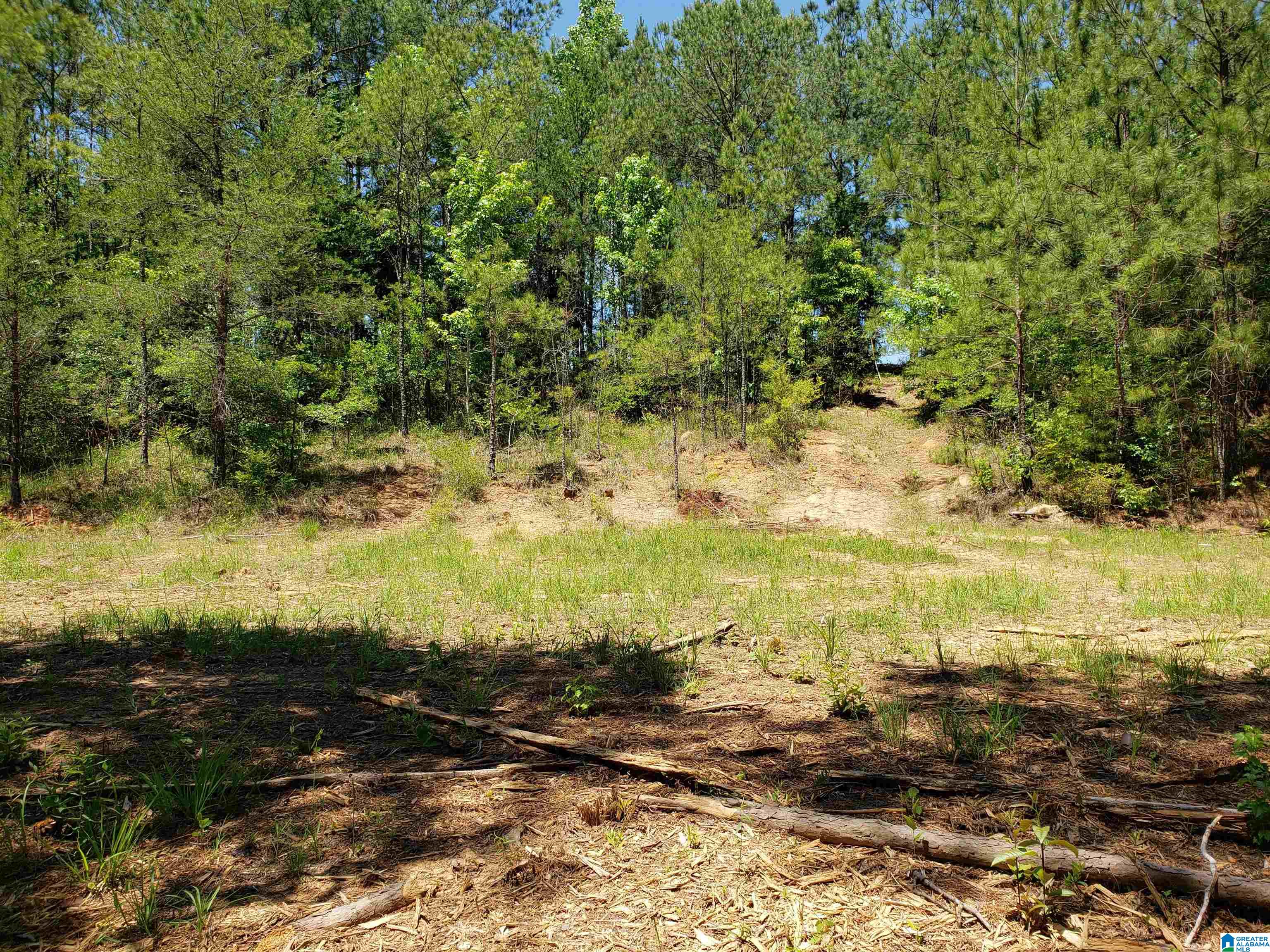 0 Clements Road, Unit 1 Cottondale, AL 35453 - Photo 5 of 16