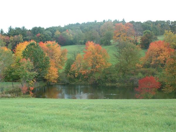705 Autumn Ridge Drive, Unit 705 Ayer, MA 01432 - Photo 3 of 16 a backyard of a house with lots of green space and lake view