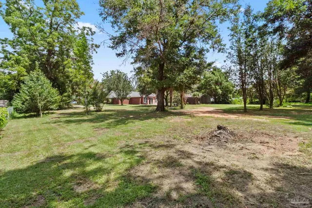 a view of a park with large trees