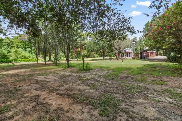 a view of a house with a small yard plants and large tree