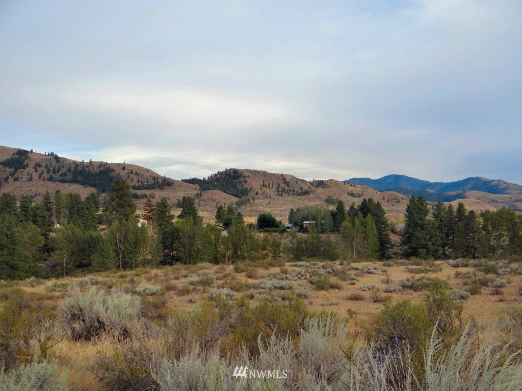 47 Lower Beaver Creek Road Twisp, WA 98856 - Photo 21 of 25 Gallery Image 21