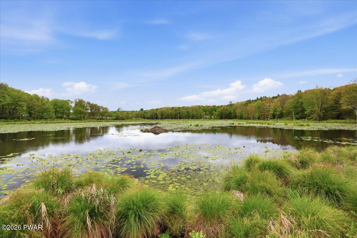 103 Forever Green Road Lakeville, PA 18438 - Photo 46 of 179