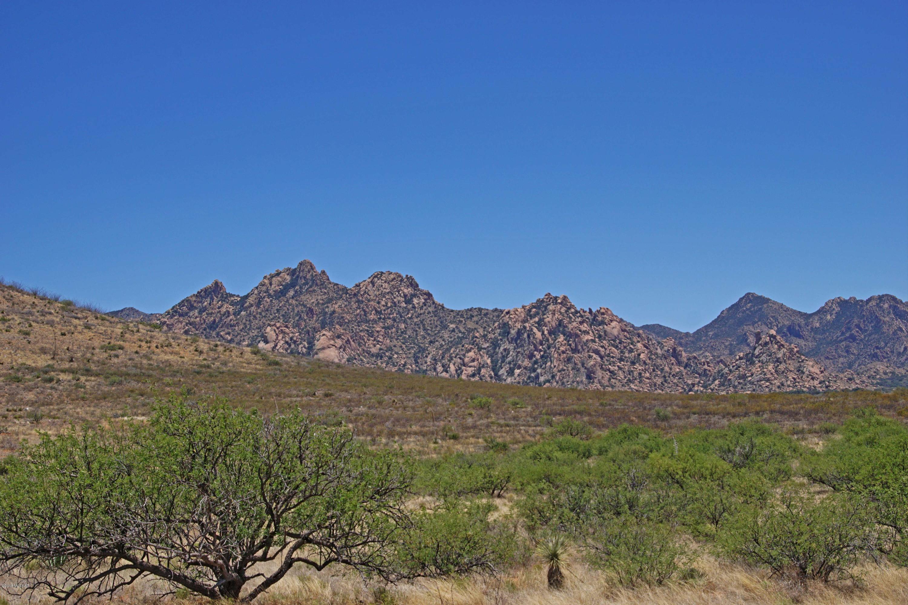 Dragoon Mountain Ranch Street, Unit 89 St. David, AZ 85630 - Photo 2 of 6 Gallery Image 2