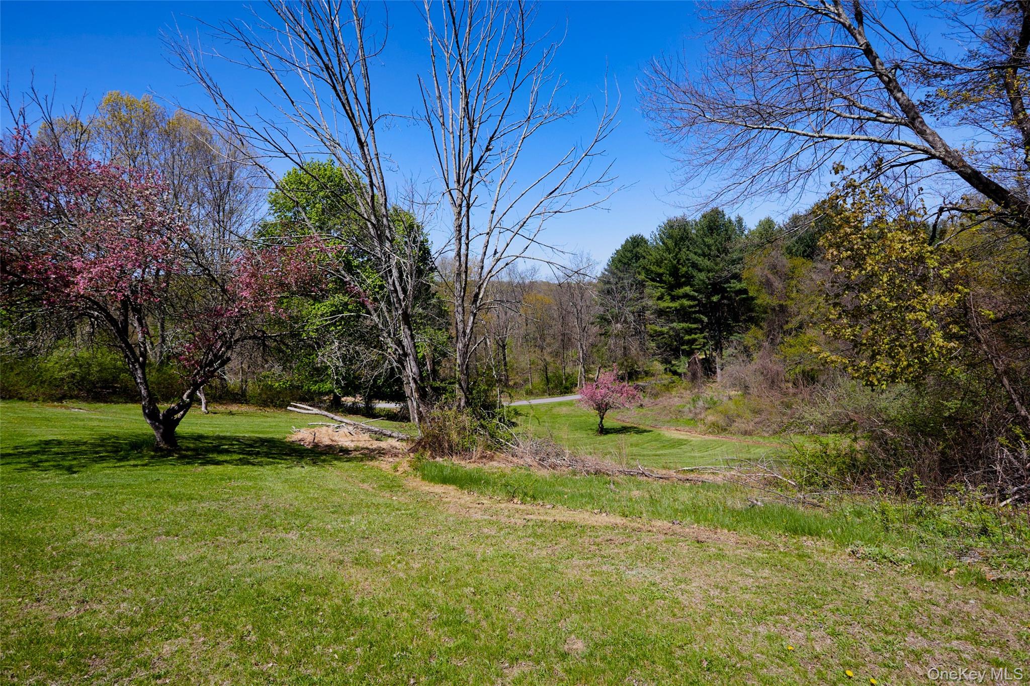32 Cole Road Pleasant Valley, NY 12569 - Photo 7 of 45