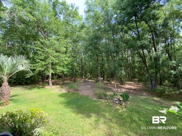 9668 Chelginet Lane Creola, AL 36525 - Photo 21 of 39