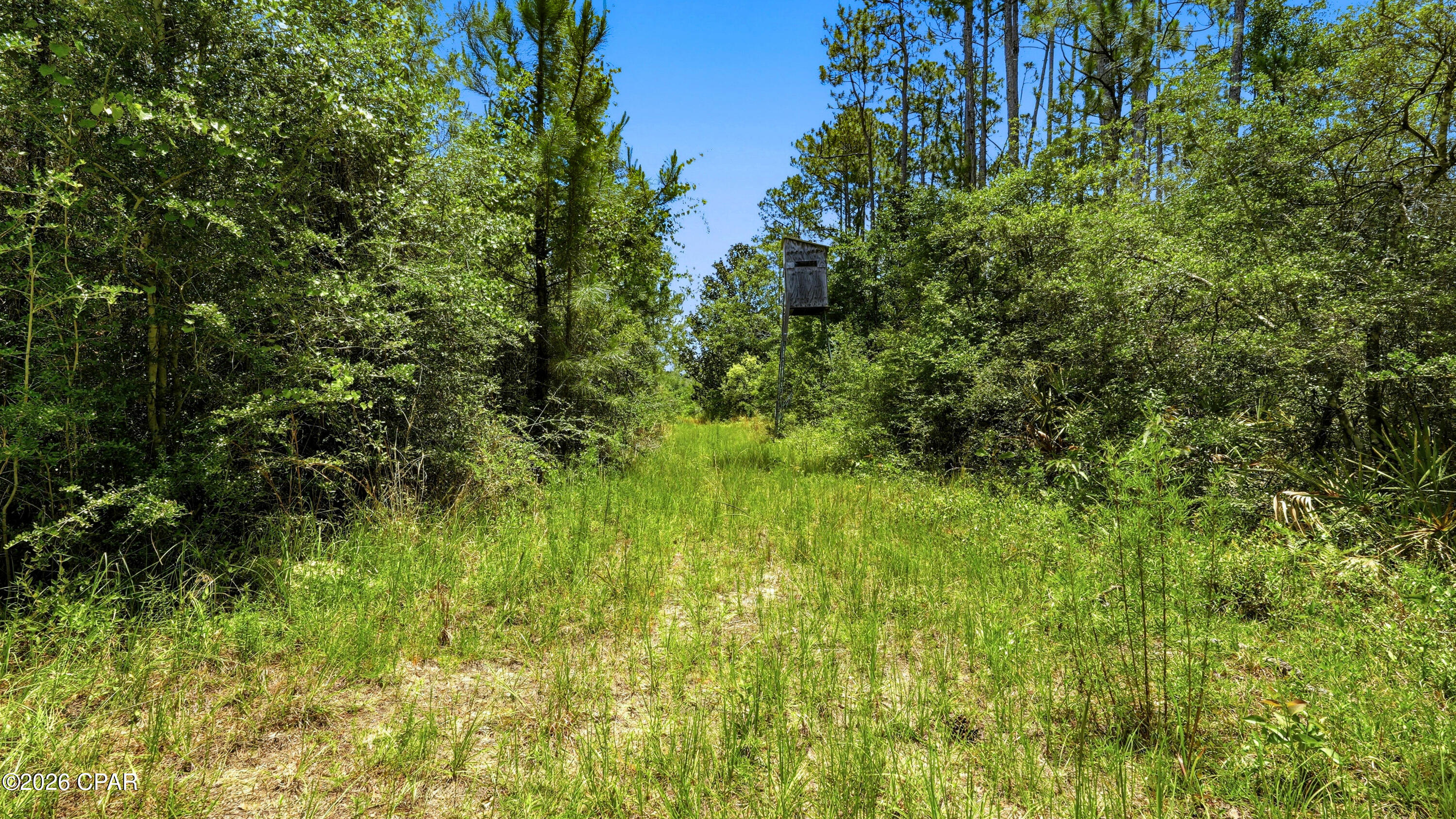 705 Cornwell Road Alford, FL 32420 - Photo 62 of 89