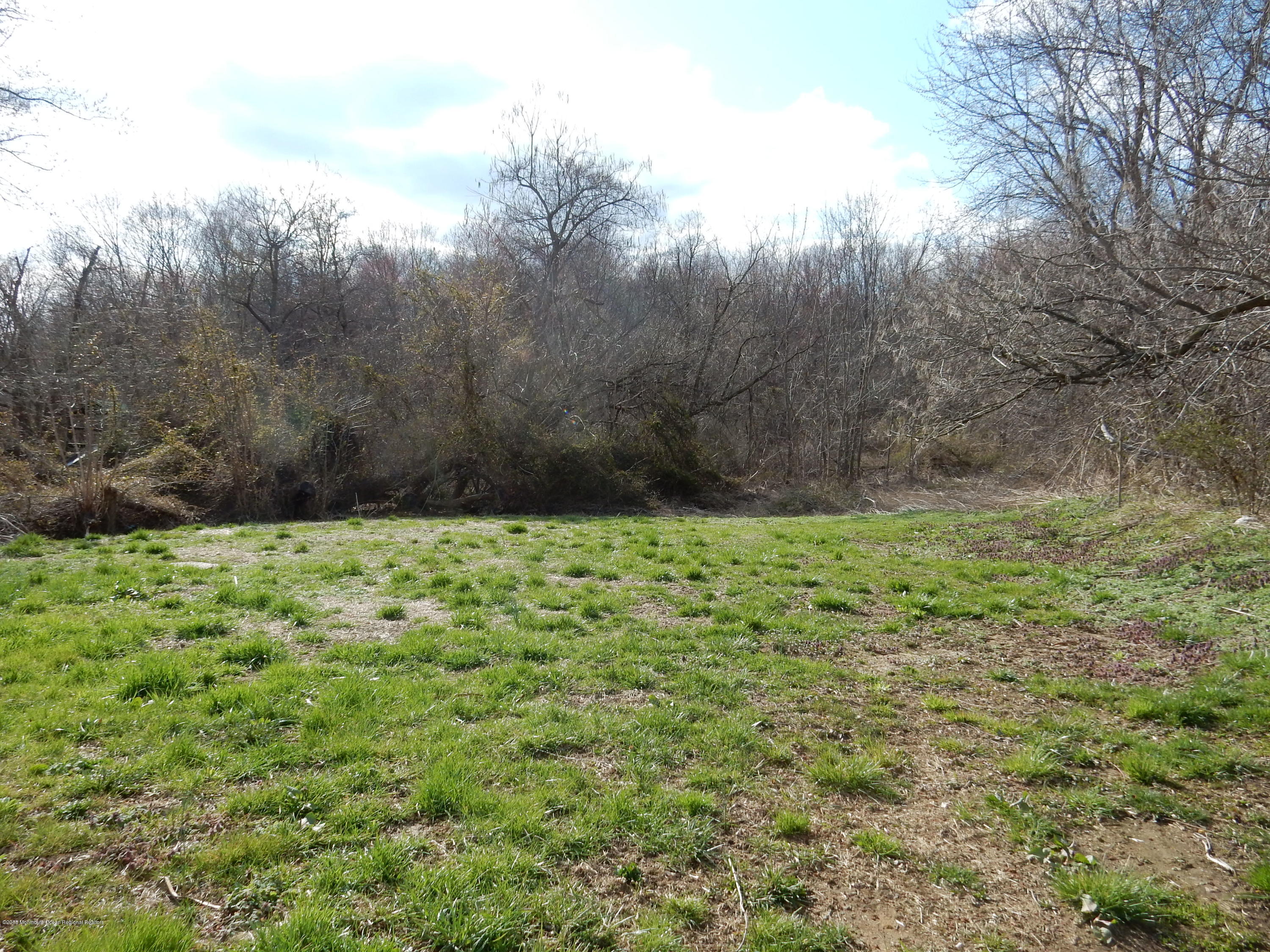 18 Cottrell Road Matawan, NJ 07747 - Photo 19 of 19 Yard