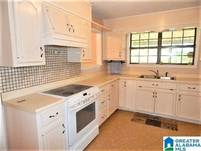 228 Dallas Loop Road Trafford, AL 35172 - Photo 3 of 29