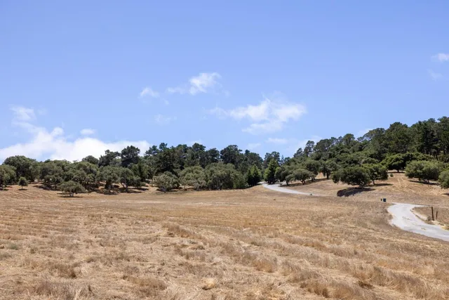 a view of swimming pool with a yard