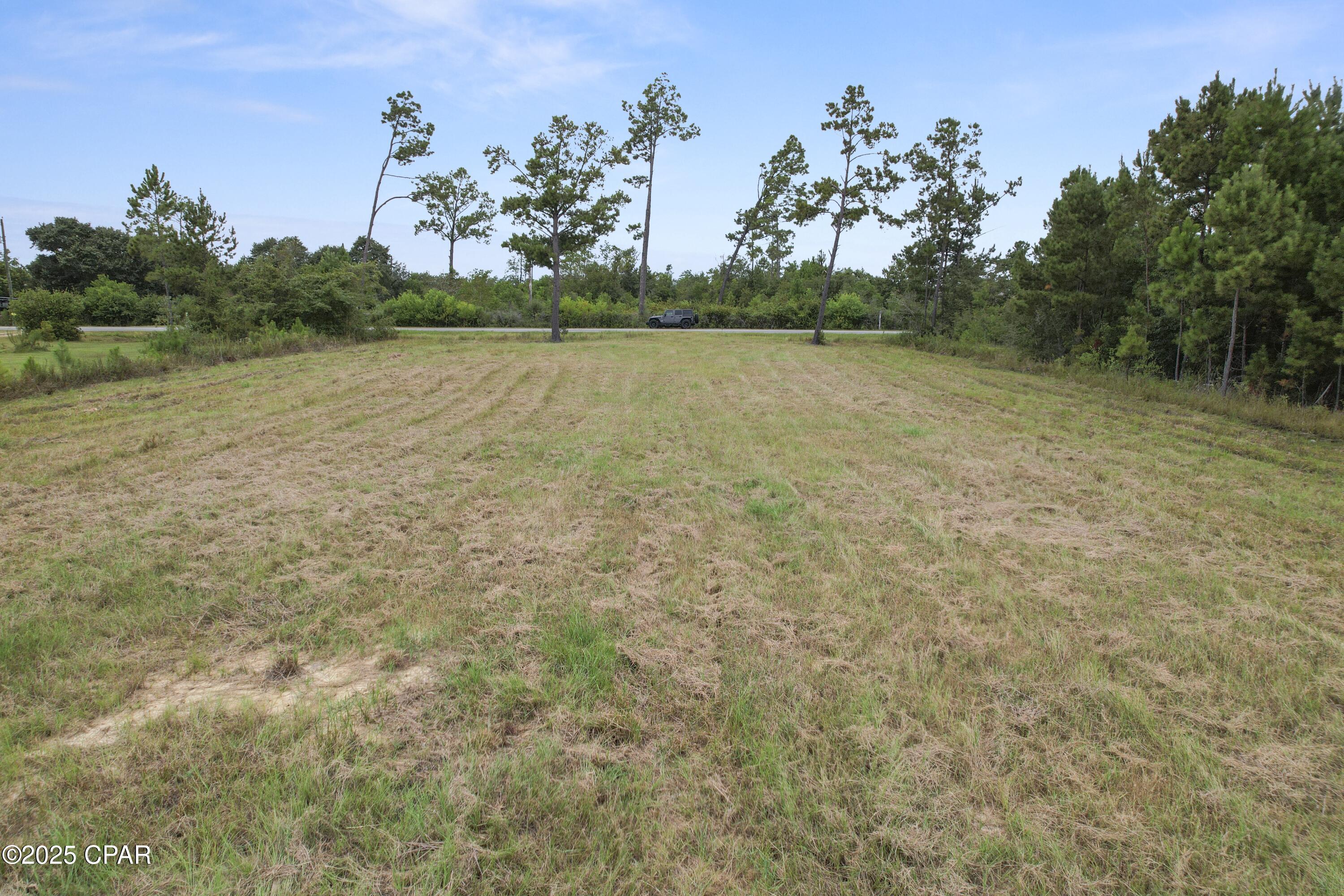 252 Jarrott Daniels Road Wewahitchka, FL 32465 - Photo 3 of 13