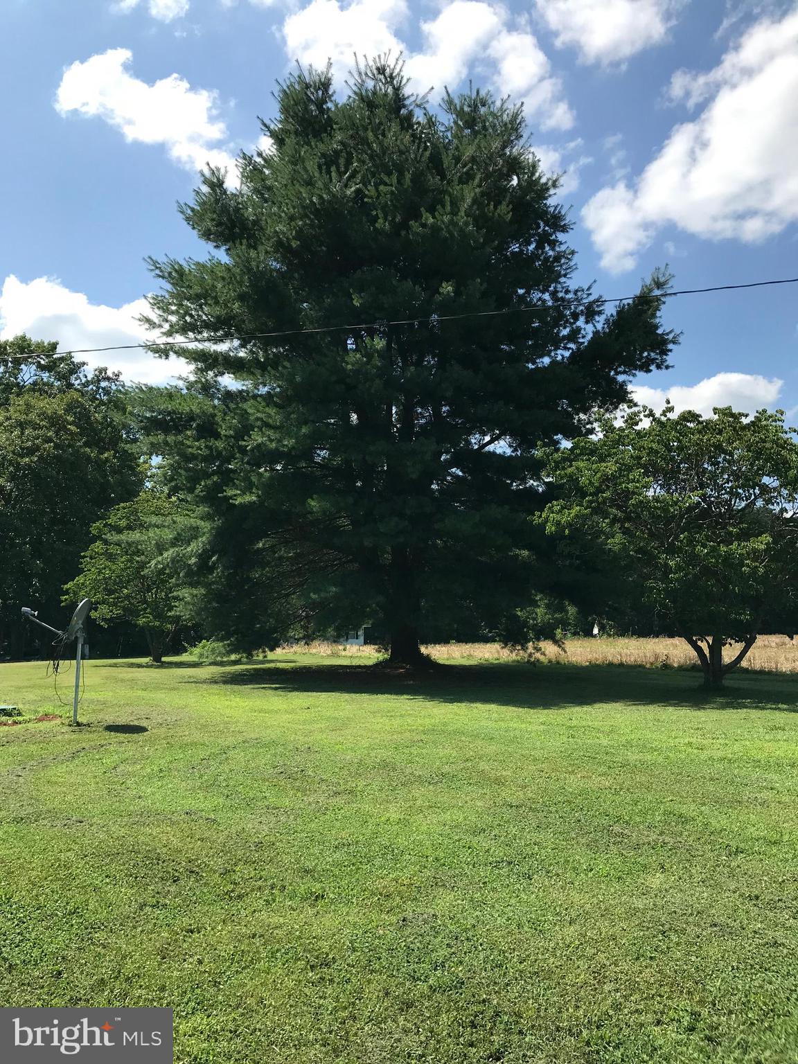 7133 Burr Hill Road Rhoadesville, VA 22542 - Photo 12 of 14 Exterior