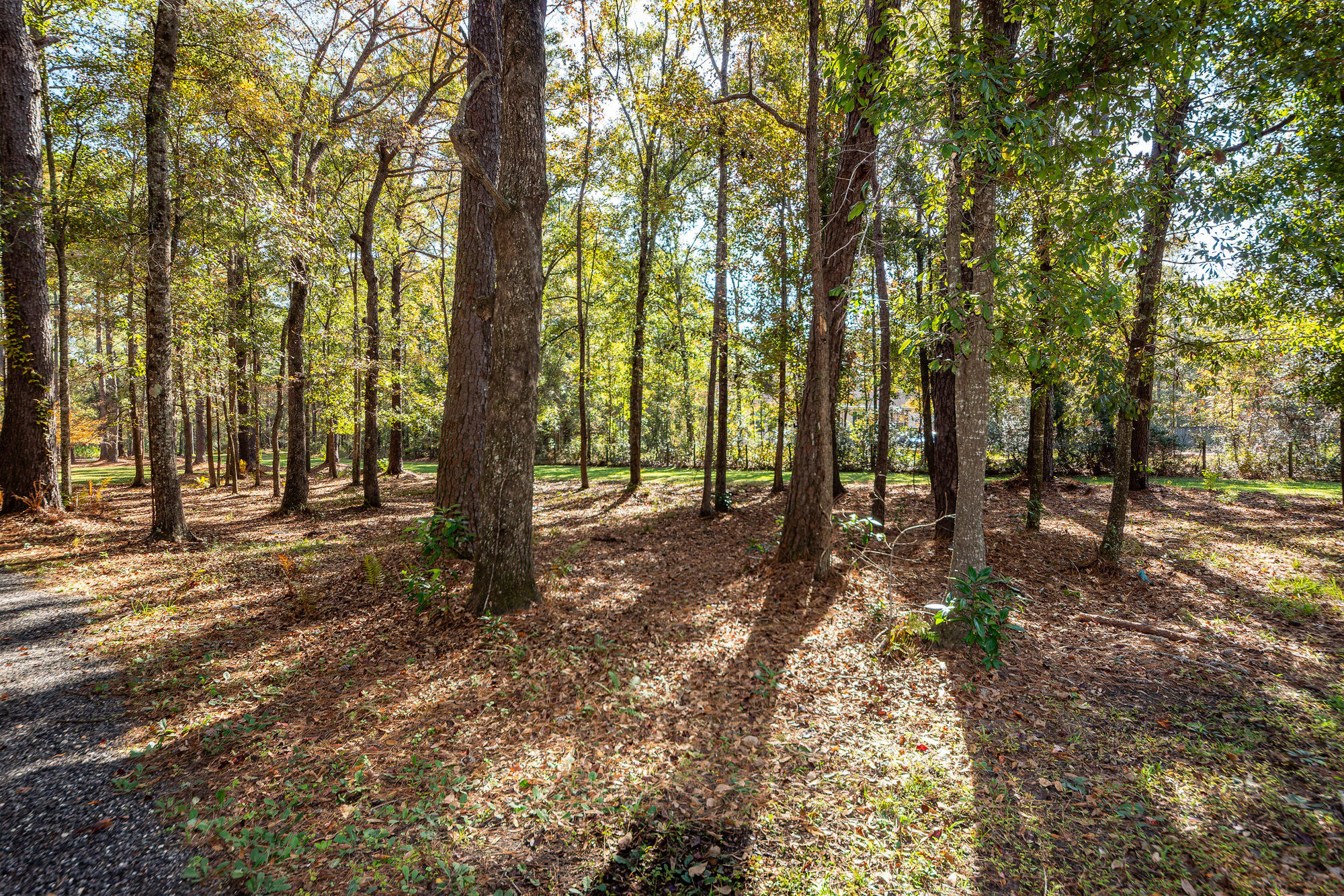 5950 Lowell Reed Road Ravenel, SC 29470 - Photo 111 of 120 112