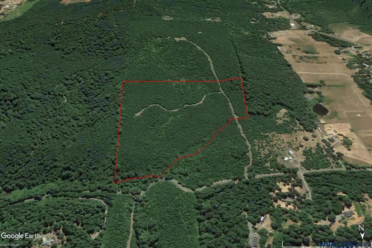 Tl805 Hall Road Cheshire, OR 97419 - Photo 4 of 17 Gallery Image 4