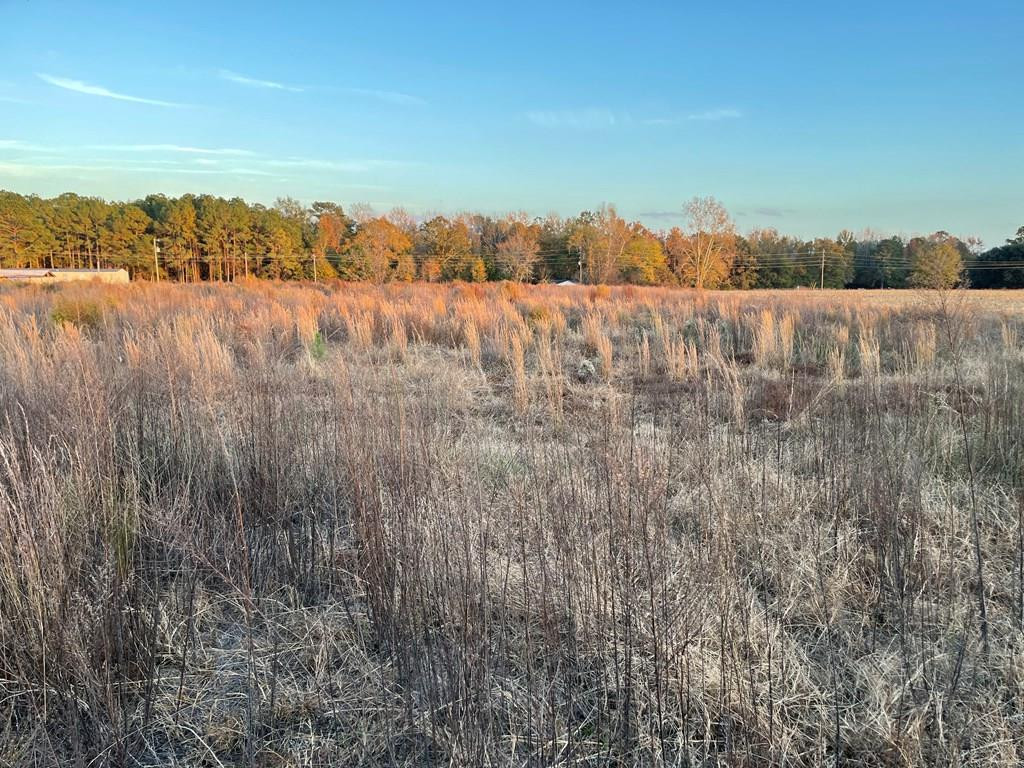 0 Westbury Mill Road Sumter, SC 29153 - Photo 1 of 10