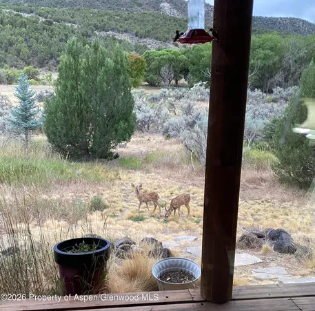 a view of outdoor space and patio