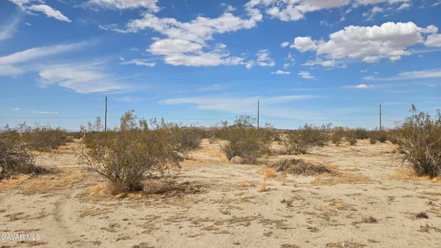 a view of a dry yard
