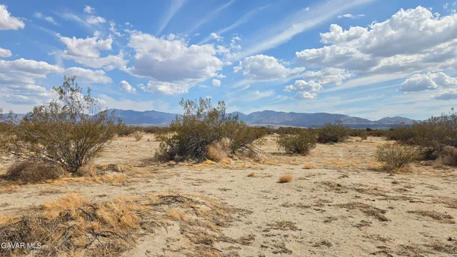 a view of a snow on the beach