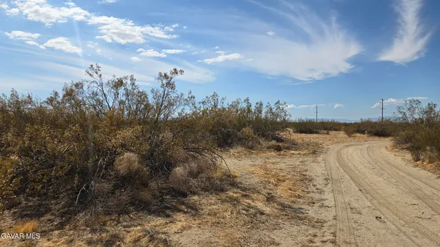 a view of a dry yard with mountains in the background