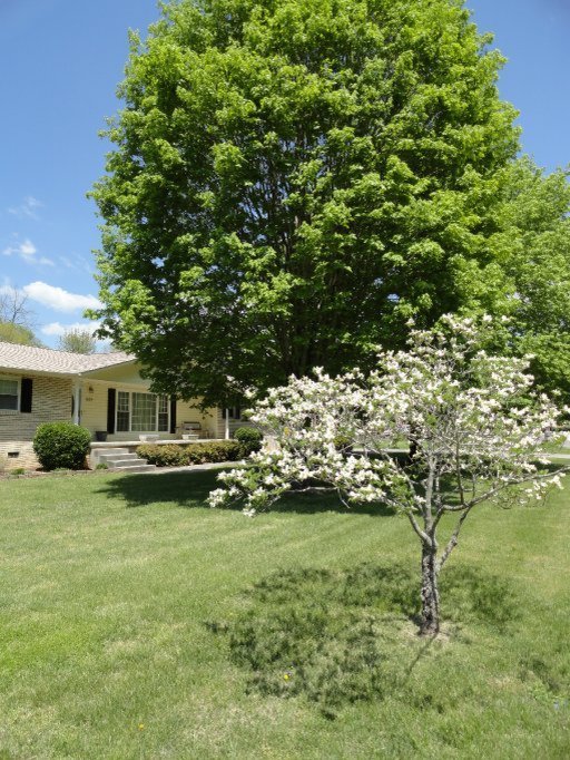 609 Riverbend Road Clinton, TN 37716 - Photo 6 of 38 Additional Photo