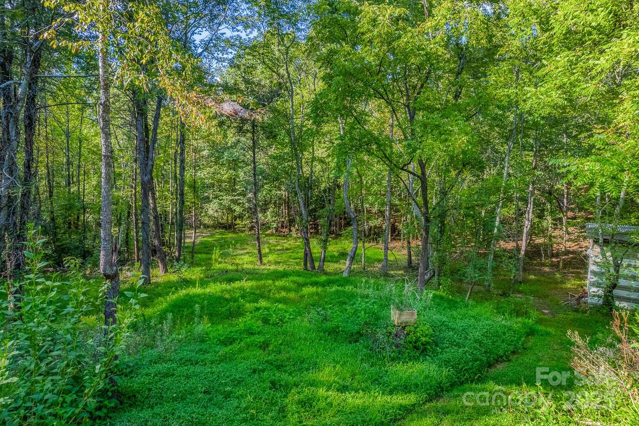 135 Medford Road Tryon, NC 28782 - Photo 5 of 7