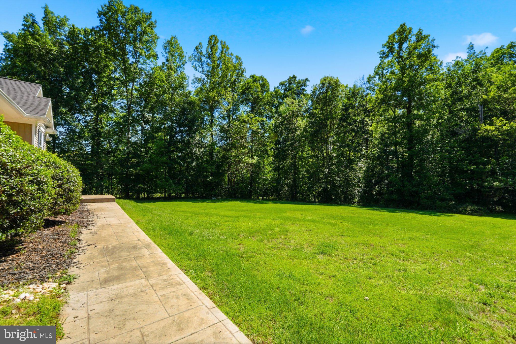 1522 Meander Run Road Locust Dale, VA 22948 - Photo 7 of 72 Spacious yard embraced by nature.