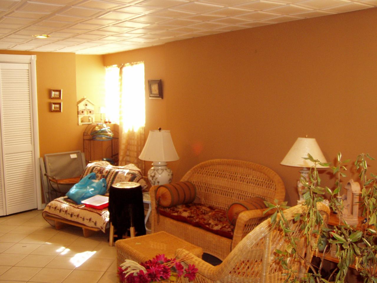 4413 Mayfair Road Tobyhanna, PA 18466 - Photo 5 of 7 basement