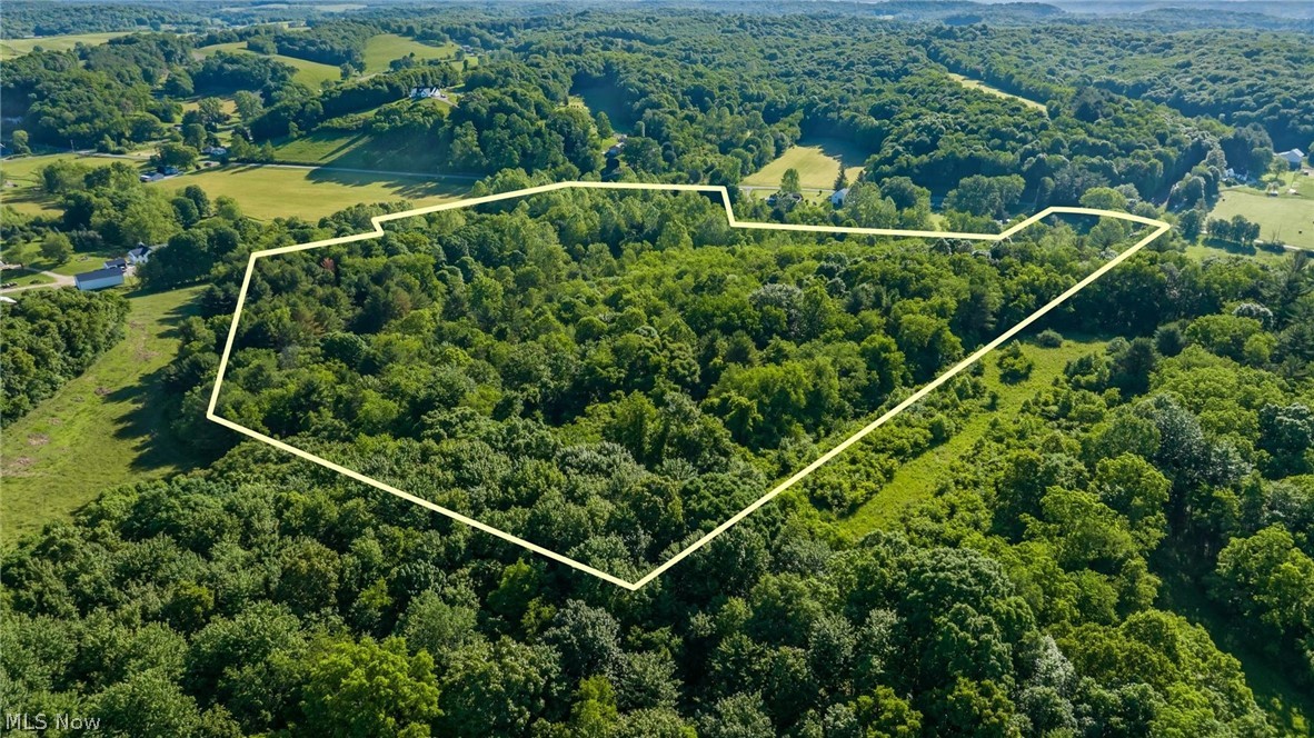 5911 Reform Road Northeast Newark, OH 43055 - Photo 19 of 19 Expansive wooded acreage featuring mature trees and varied terrain