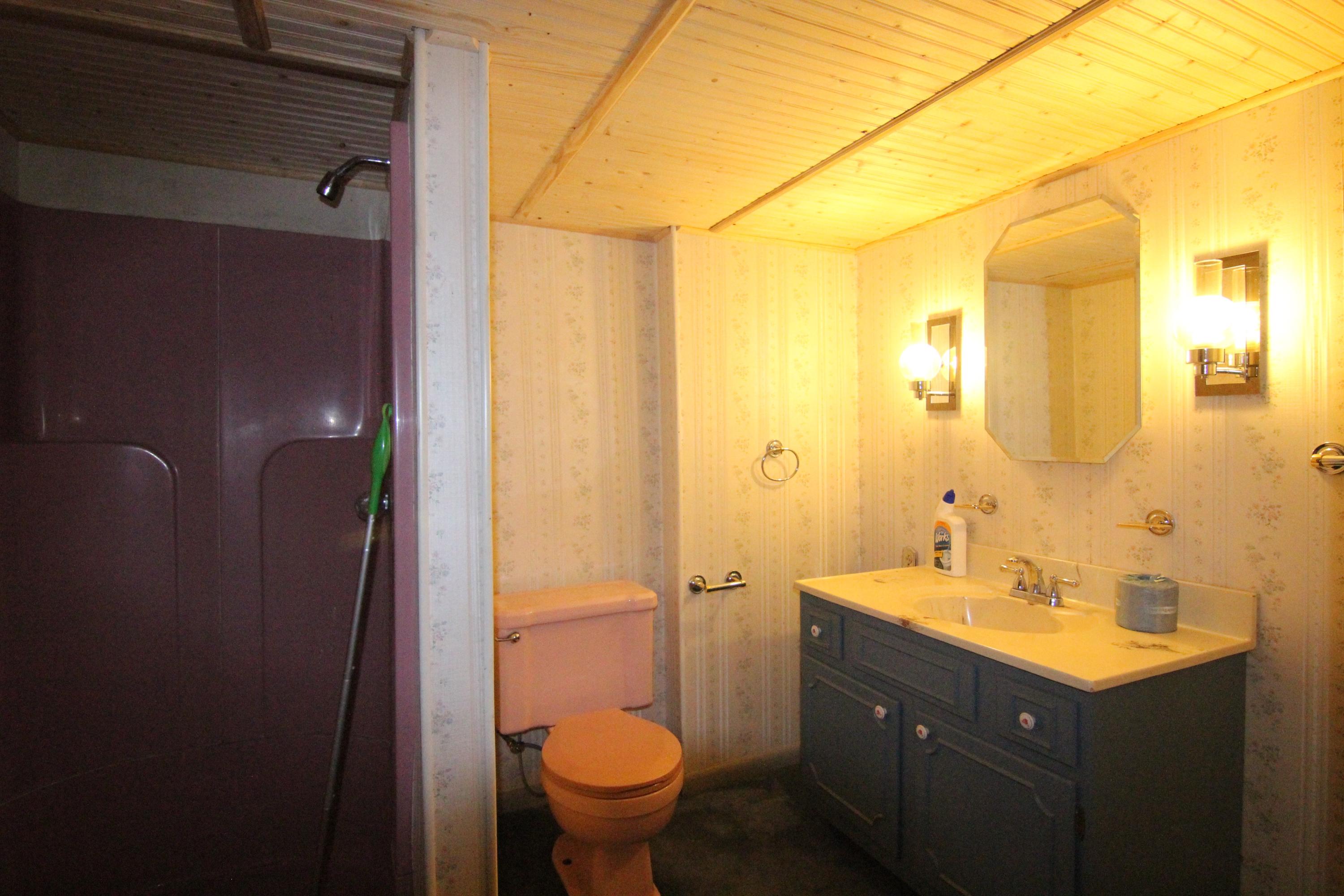 1100 Bandy Mill Road Hardy, VA 24101 - Photo 28 of 31 a bathroom with a sink toilet and shower