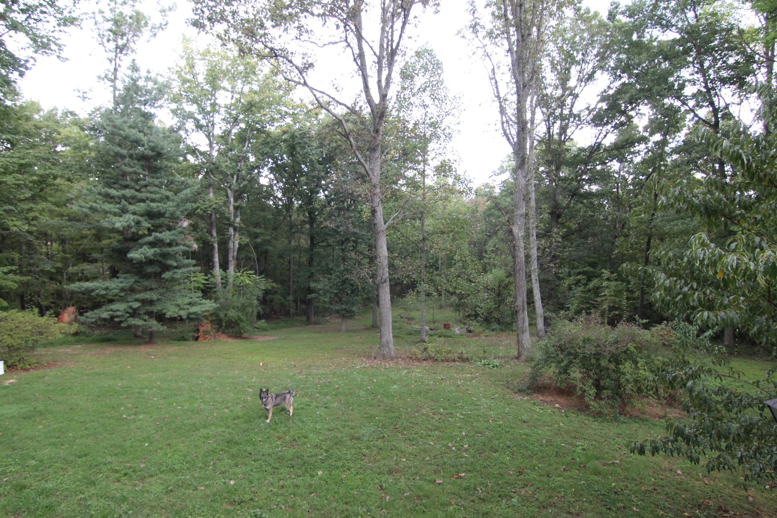 1100 Bandy Mill Road Hardy, VA 24101 - Photo 31 of 31 a view of a park with large trees