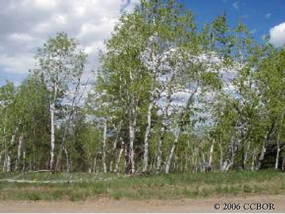 619 Blacksmith Road Hartsel, CO 80449 - Photo 1 of 1 a view of a yard