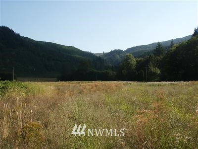 400 Dodge Road Morton, WA 98356 - Photo 1 of 1 Gallery Image 1