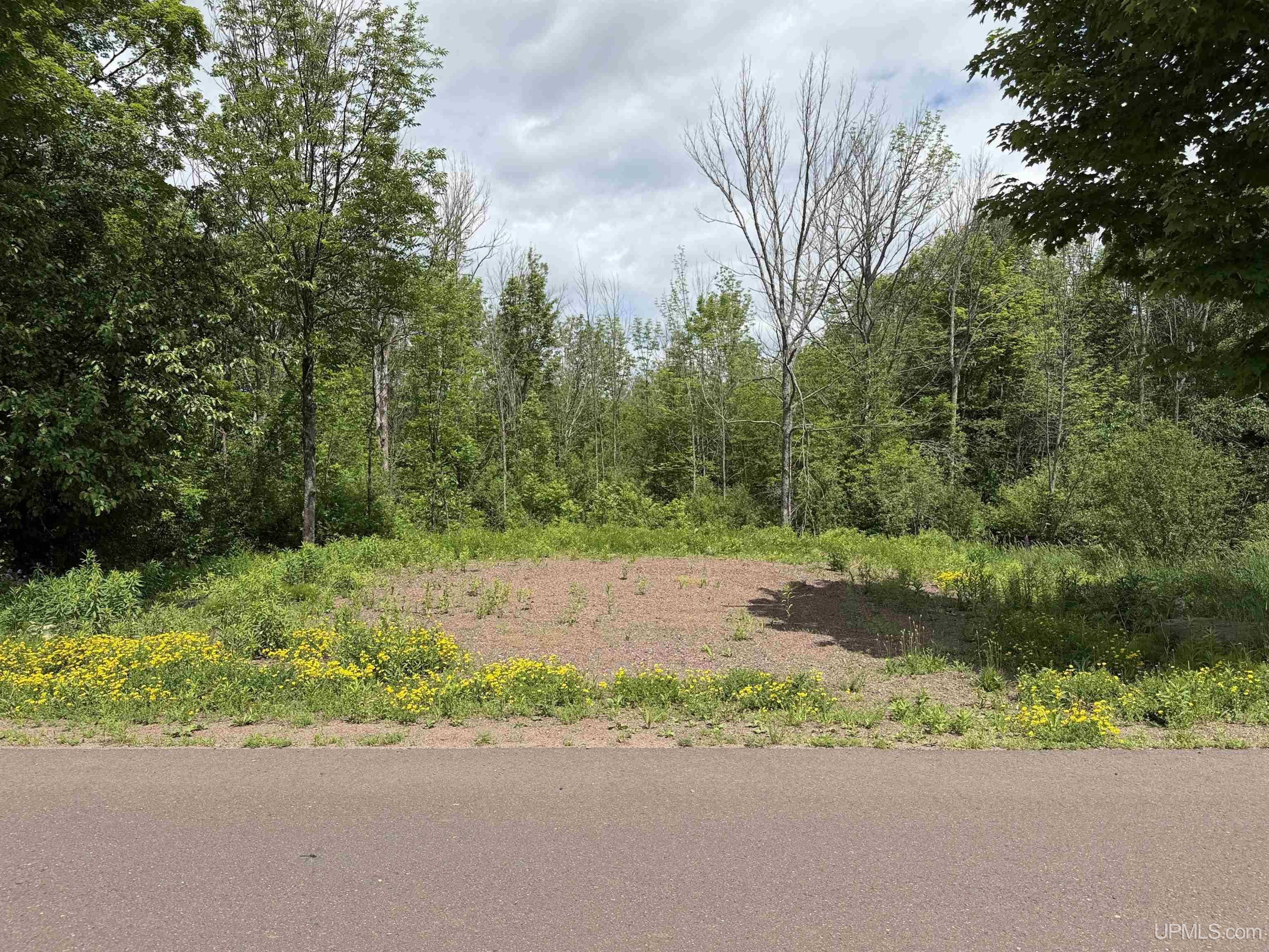 1001 Tilden Road Bessemer, MI 49911 - Photo 12 of 73