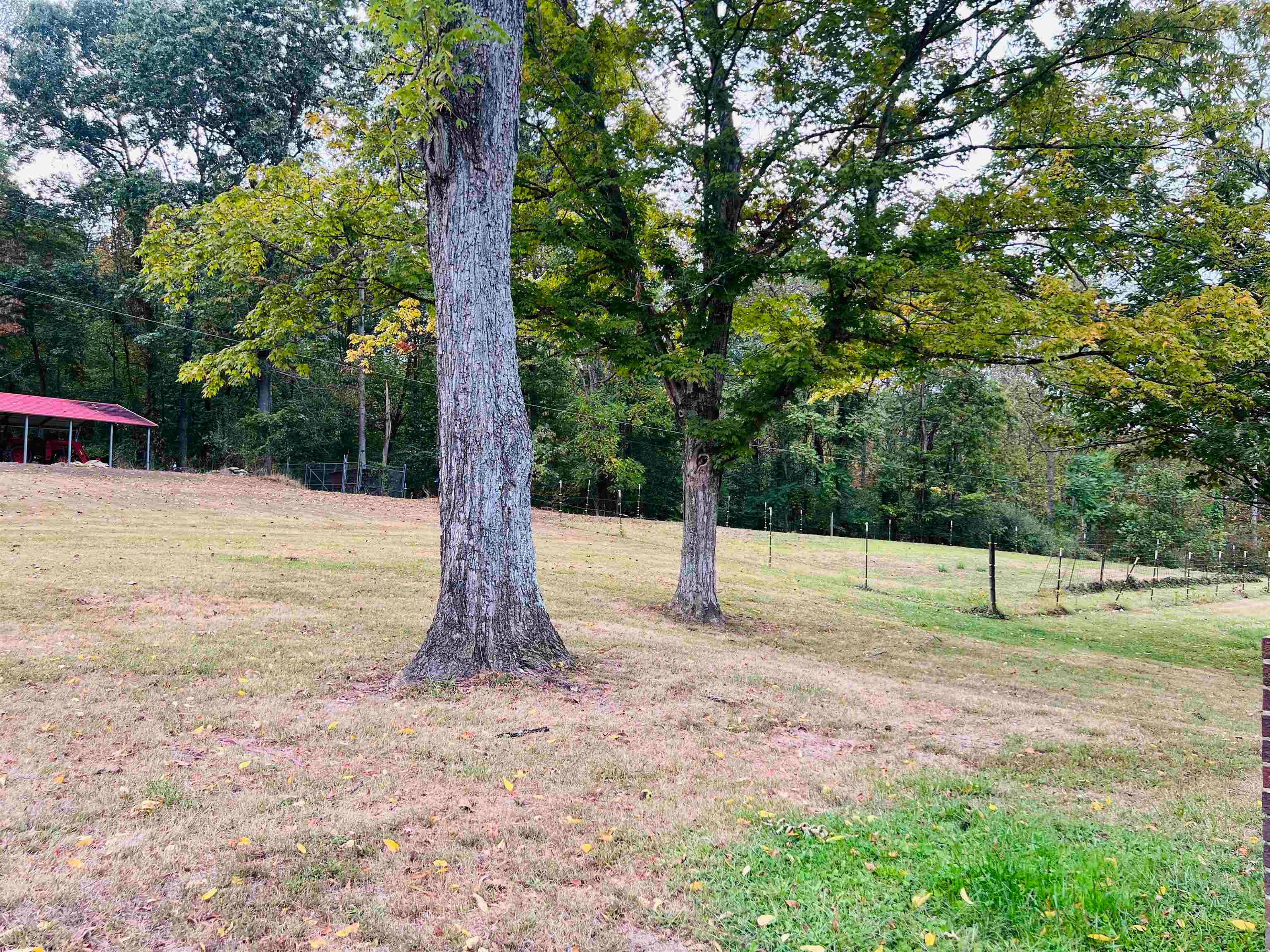 3915 Centerville Road Prichard, WV 25555 - Photo 23 of 26 Gallery Image 23